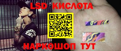 spice Кунгур
