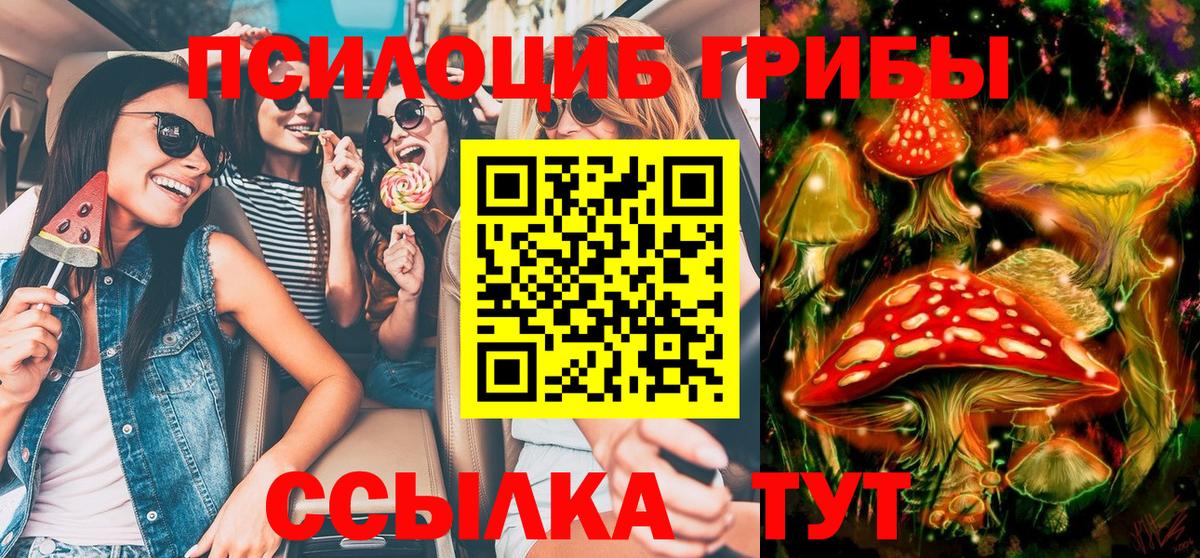 Гусиноозёрск  Псилоцибиновые грибы мицелий  Вход с VPN 