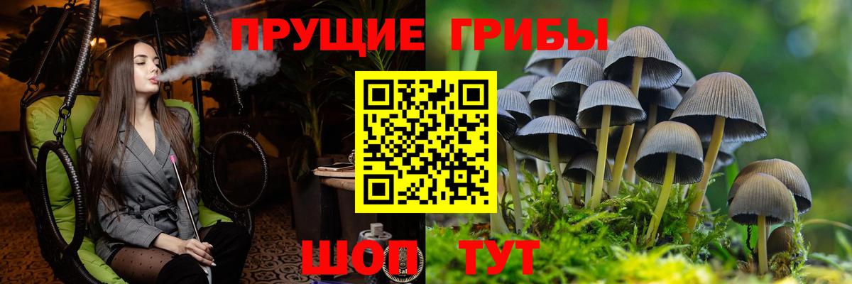 Псилоцибиновые грибы Magic Shrooms Гусиноозёрск
